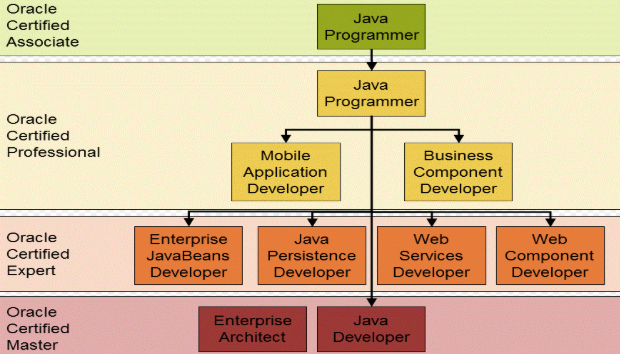 Oracle Certifications